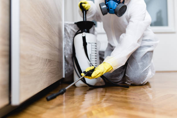 Best Ant Control Services  in Folkston, GA