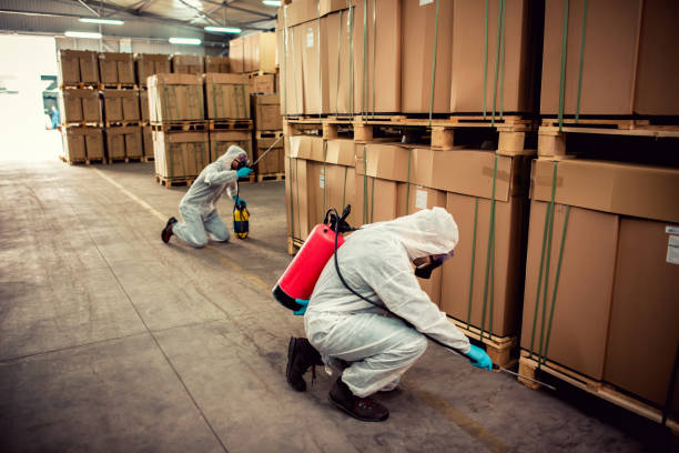 Wildlife Control Services in Folkston, GA