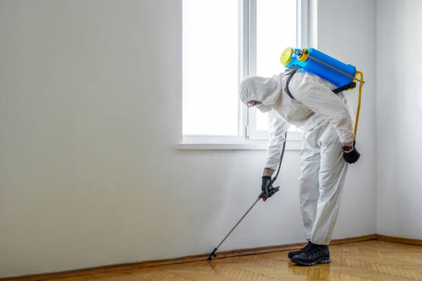 Best Residential Pest Control  in Folkston, GA