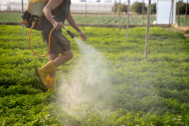 Professional Pest Control in Folkston, GA