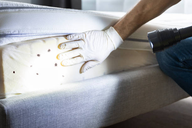  Folkston, GA Pest Control Pros