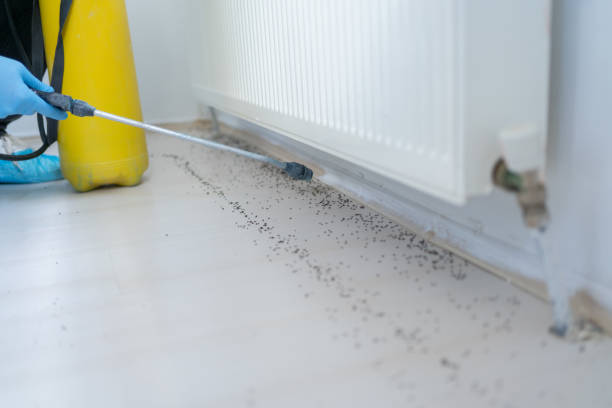 Best Best Pest Control Companies  in Folkston, GA