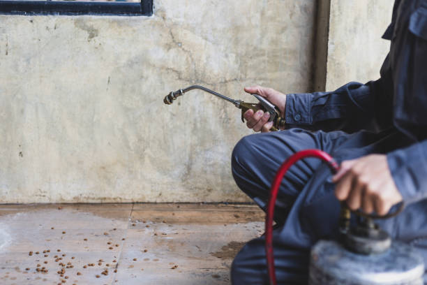 Best Local Pest Control Services  in Folkston, GA